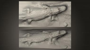 3D model Albino alligator (STL)